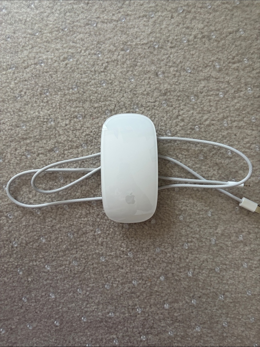 Apple White Glossy Magic Mouse with White Cable (Lightning and type C Cable)